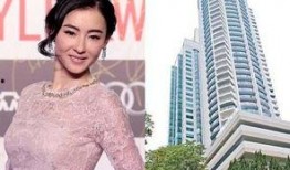 张柏芝今日头条新闻爆料,揭秘娱乐圈不为人知的真相